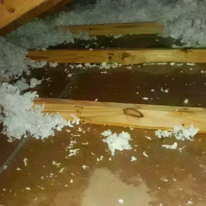 Attic Water Damage in Warrington, FL