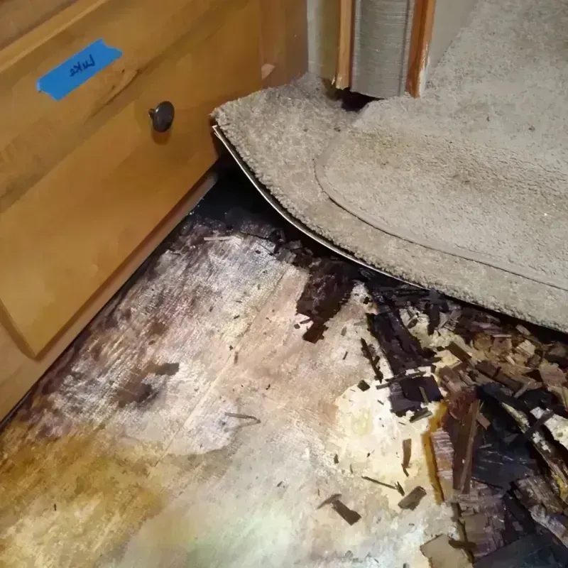 Best Wood Floor Water Damage Service in Warrington, FL